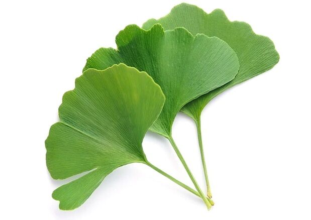 Gluconol sisältää ginkgo bilobaa